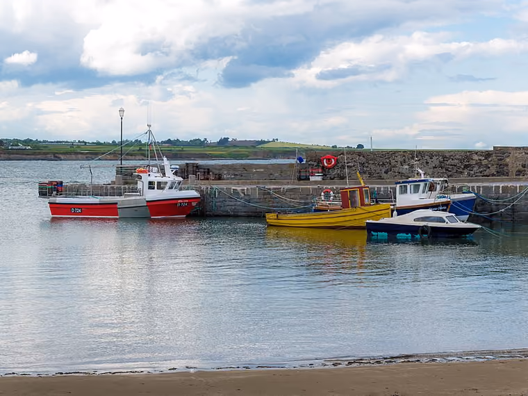 Emergency electrician servicing residential homes in Rush, Dublin